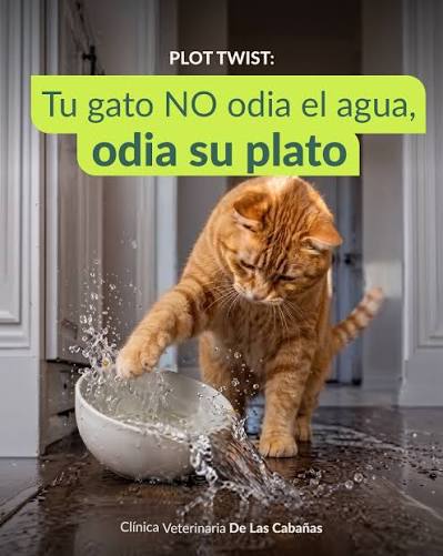 Fuente de agua para mascotas con filtro de repuesto incluido
